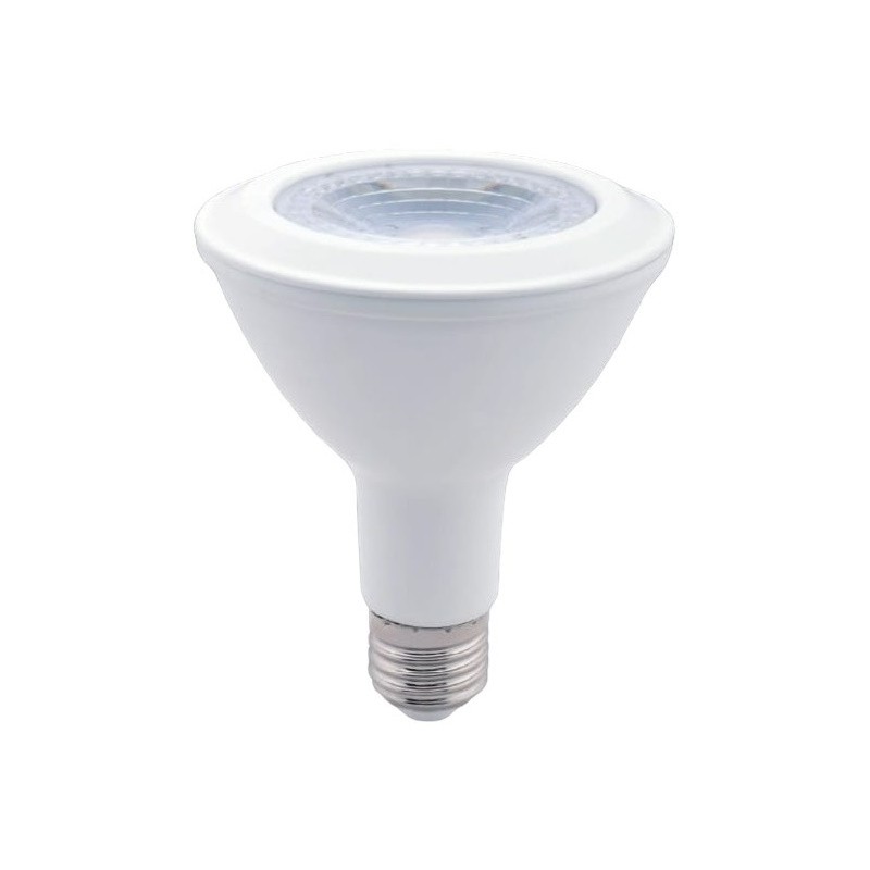 Outdoor LED Flood Light Bulb PAR 38, floodlight